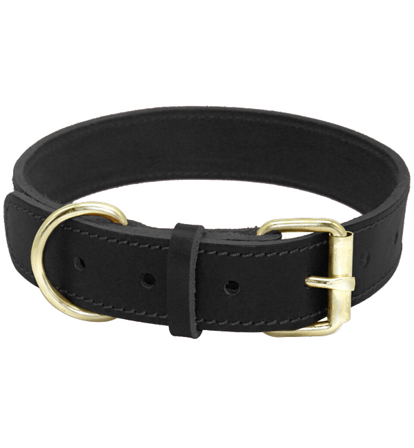 Close Control Training Dog Collar