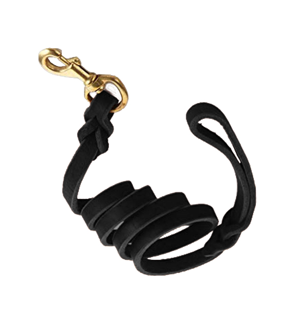 Horse Leather Lead