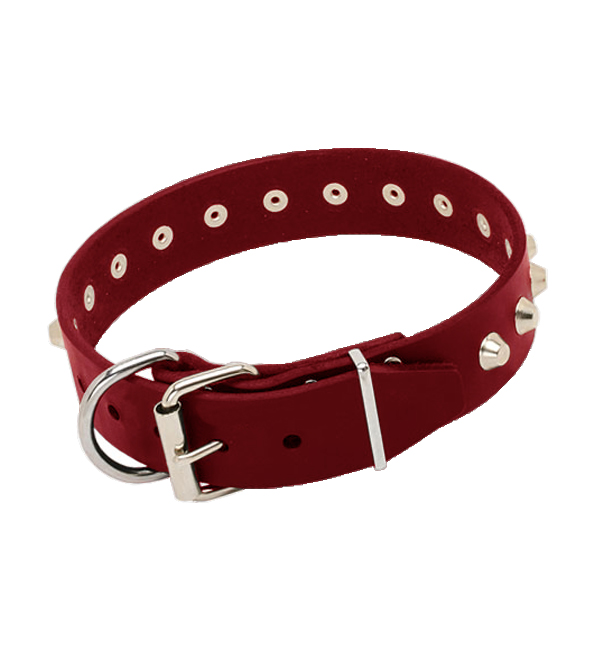 Leather Studs Dog Collar