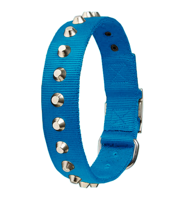 Nylon Dog Collar With Studs