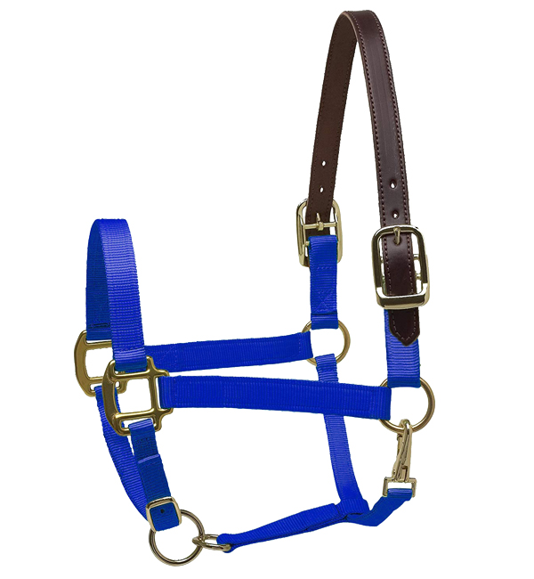 Custom Nylon Breakaway Halter